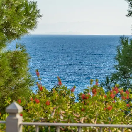 Niki With Swimming Pool Vila *